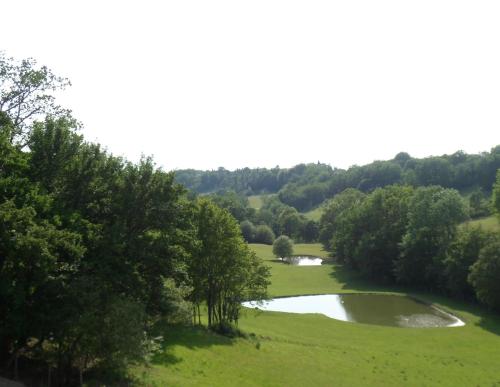 ChÂteau De PlÈneselve 