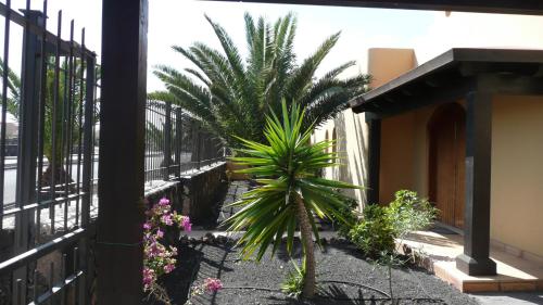 Marvida Villa 