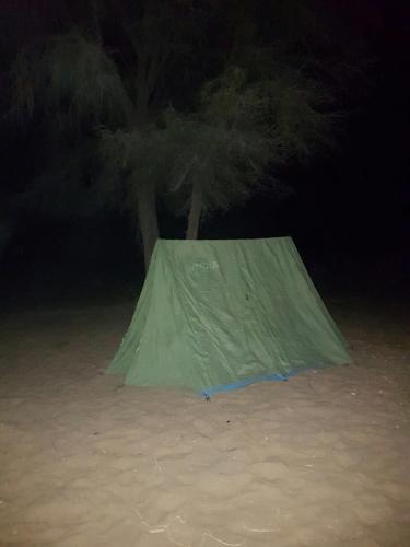 Lamp Desert Camp 