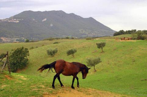 Agriturismo Le Mandriacce (آگریتوریسمو ل ماندریاكس) 