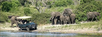 Tongabezi Lodge Safari