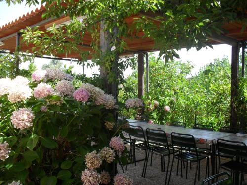 Agriturismo Minniminni 