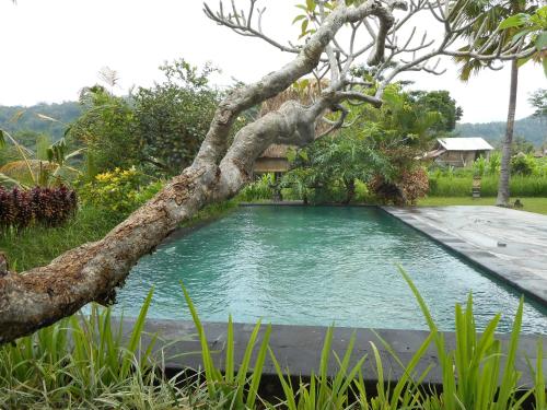 Aura Surga Villa 