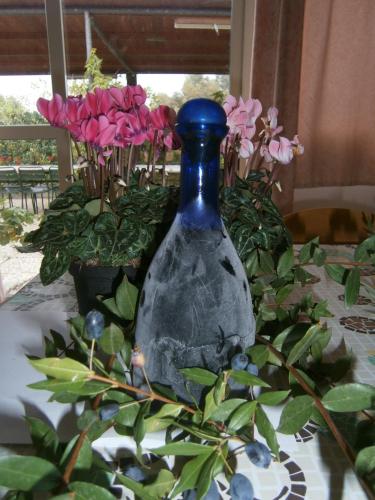 Agriturismo Minniminni 