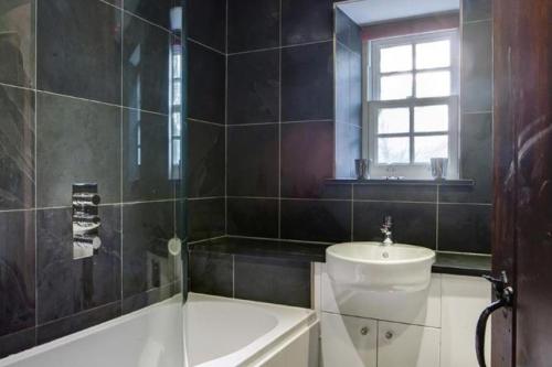 The Curious Orange ( كوریوس اورانج) 