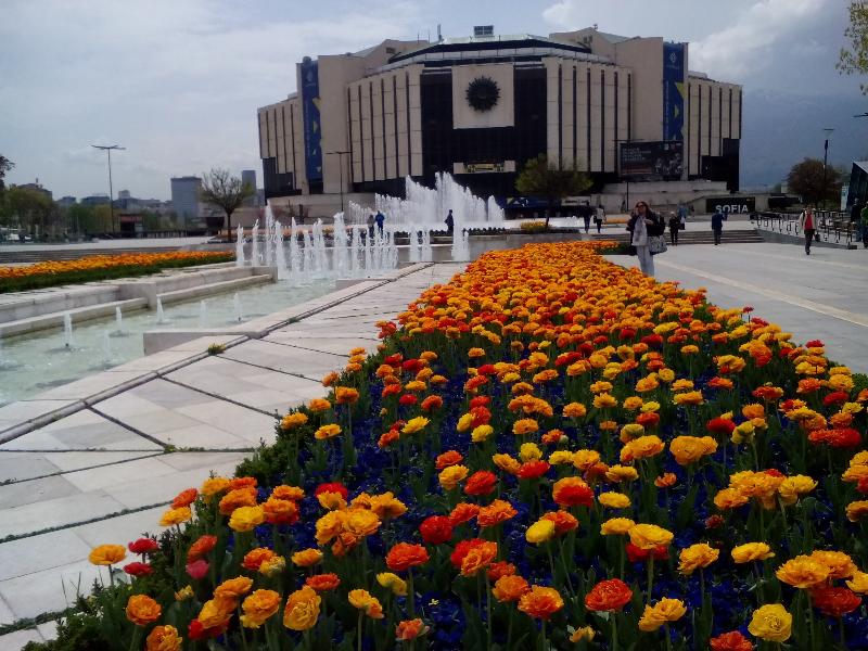 Alexander Business Apartments Terrace