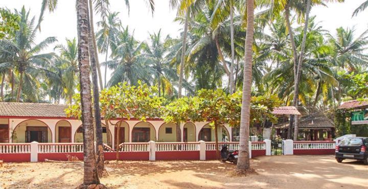 White Negro Beach Resort 