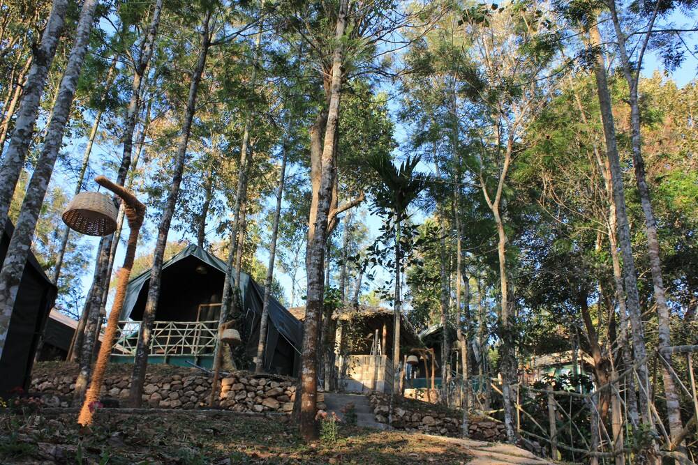 Season7 Nature Resort Property Grounds