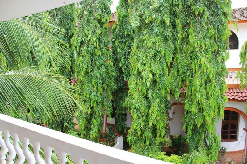 Macedo Palms Lemonmint General view