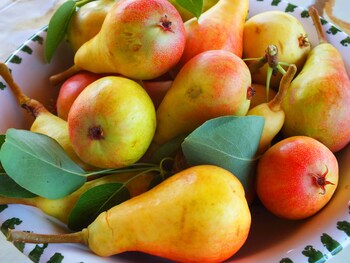Villa B&b Antiche Macine Del Salento Food and Drink