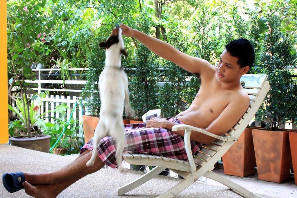 Garden Room Hostel (گاردن روم هاستل) 