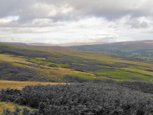 The Hill B&b ( هیل ب&ب) 