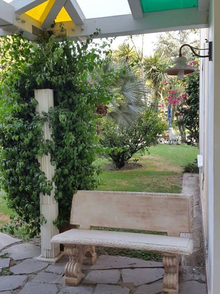 Hotel Mediterraneo 