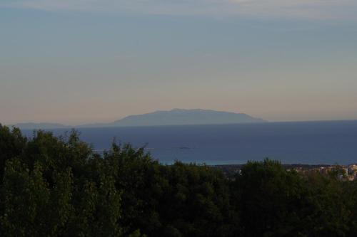 La Tagliola 