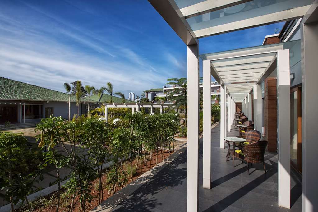 Purple Palms Resort & Spa Property