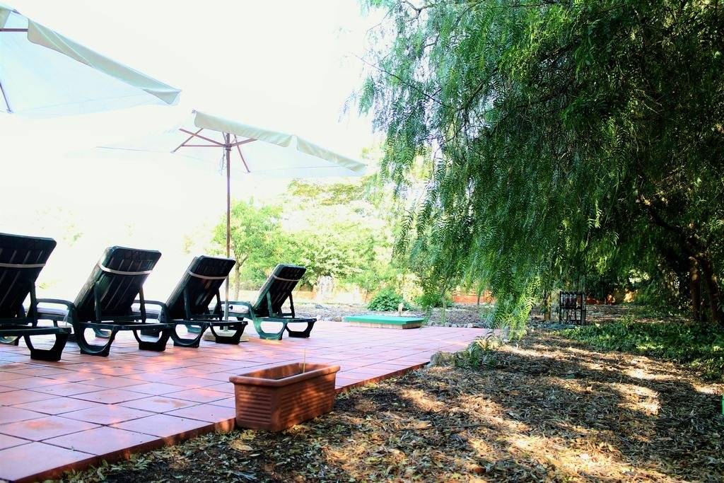 Ginjola Green Farm 