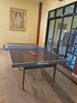 Shiv Sagar Palace Game Room