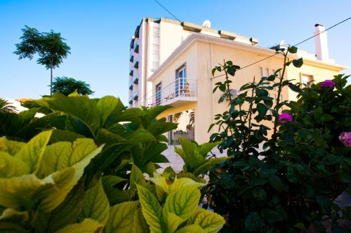 Fatima Lounge Guest House 