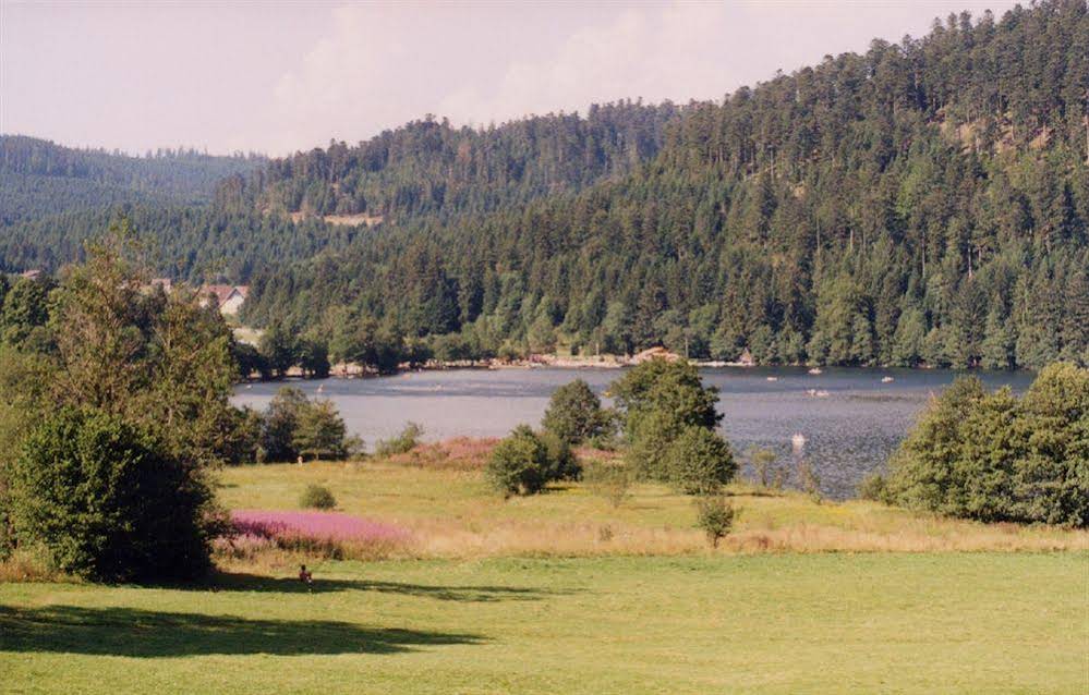 Résidence Les Myrtilles 