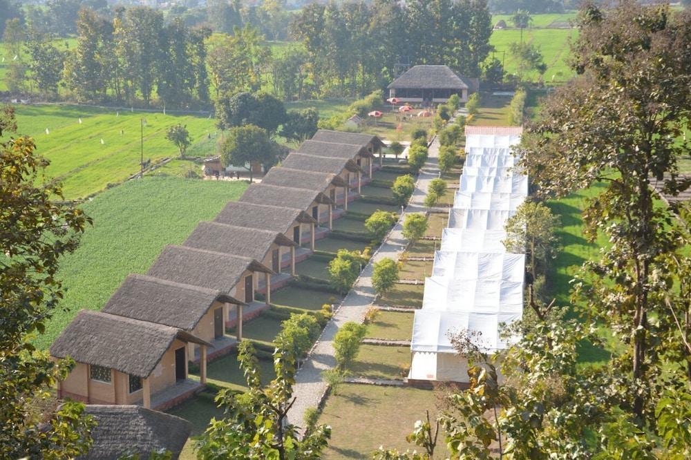 Jungle Eco Resort 
