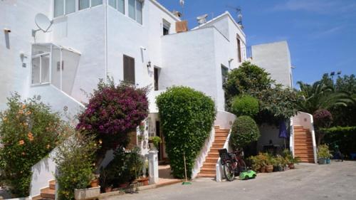 Patio Andaluz 