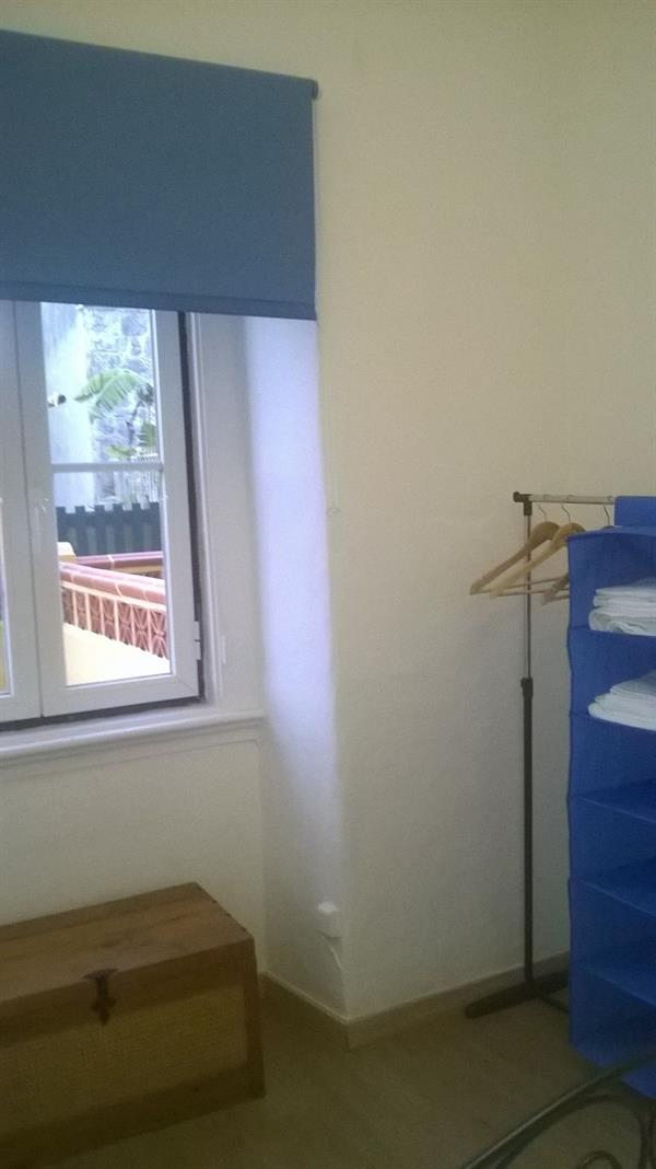 Cats House 