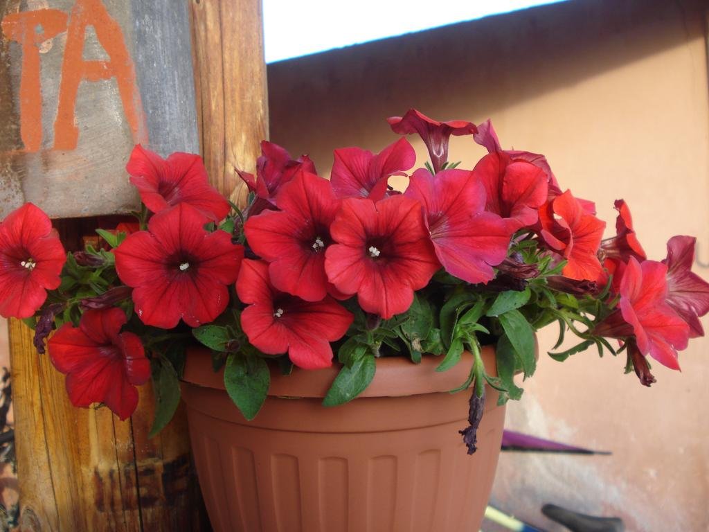 Agriturismo La Fattoria 