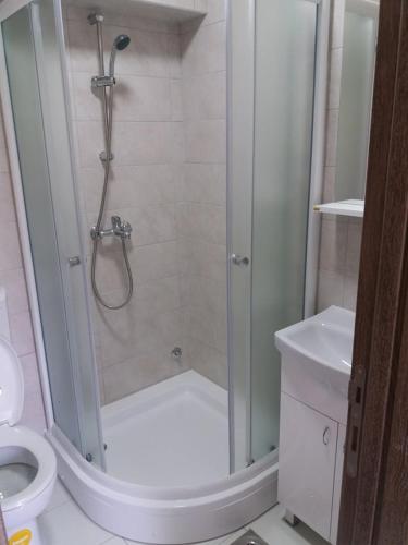 Guest House Farkas Home Invest 