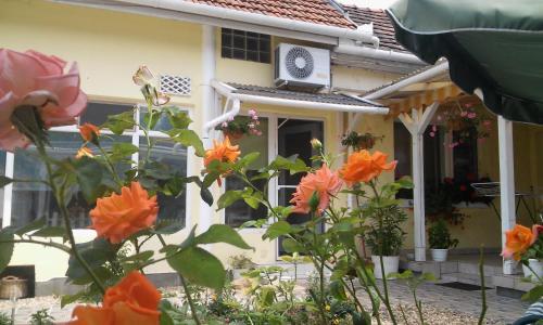 ZÖld Sziget Apartman 