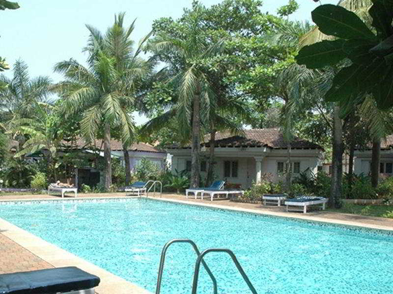 Shikara Beach Resort (شیكارا بیچ ریزورت) Pool