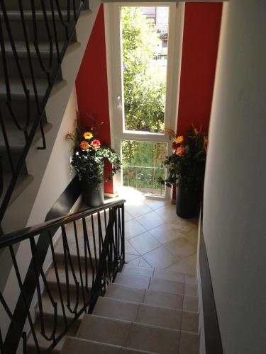 Perla Del Lago Rent Apartments 