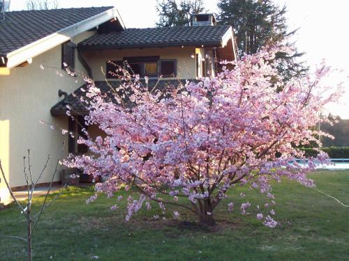 B&b Il Ciliegio 