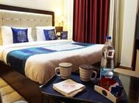 Oyo Premium Luxurious Castle 
