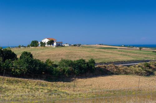 Fattoria Di Vaira 