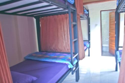 Teja Hostel 
