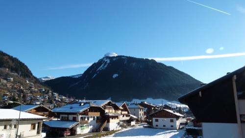 Chalet Le Feufy 