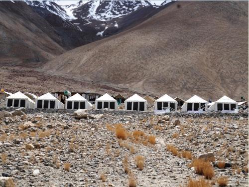 Ladakh Summer Pangong Camp 