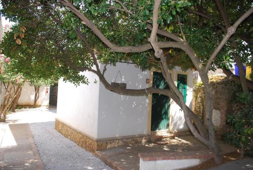 Camping Villaggio Saline 