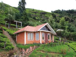 United 21 Paradise Hotel Ooty 