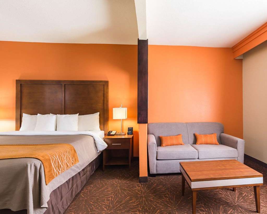 Comfort Inn East 
