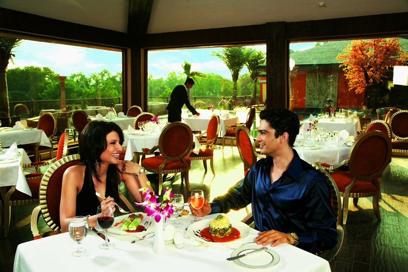 Palms Hotel 