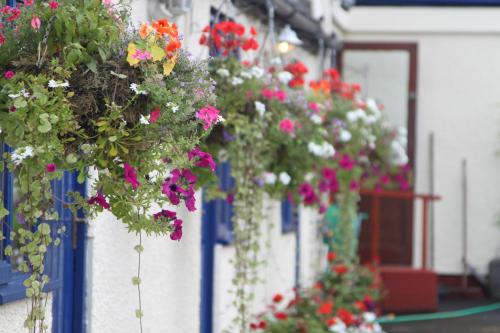 Meadows Way Guest House 