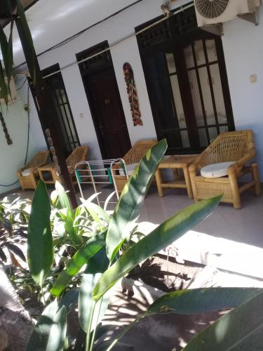 Alibaba Homestay 
