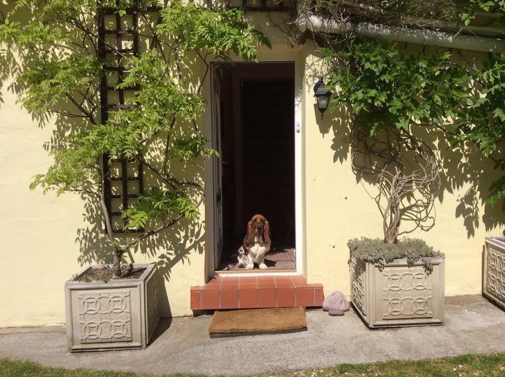 Y Neuadd Country House B&b 