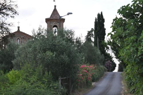 Art And Garden (آرت اند گاردن) 