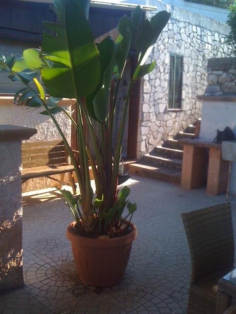 Il Trullo 