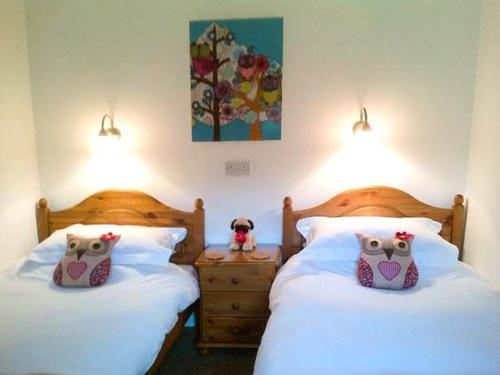 Owl Cottage Camelford 