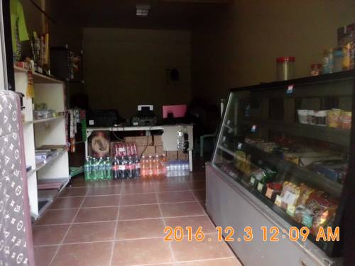 Fat Monkey Hostel 