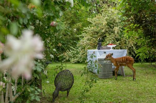 Ca'bevilacqua Bed&breakfast 