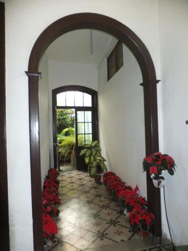 PensiÓn Cejas 